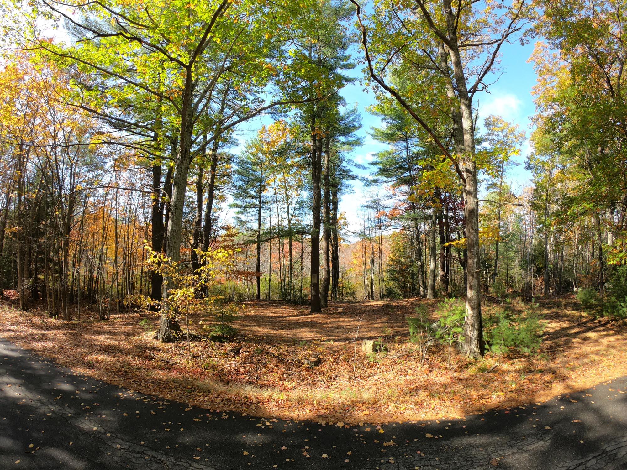 329 Allen Road, Unit LOT 1 Wells, ME 04090 - Photo 7 of 25 GOPR3377