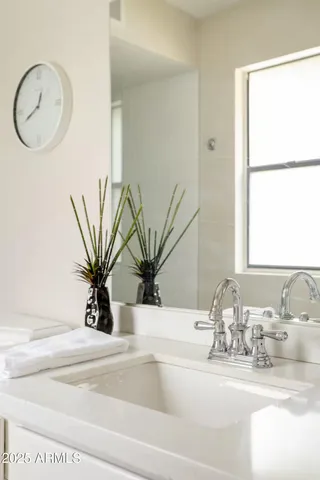 a bathroom with a sink a mirror and a potted plant