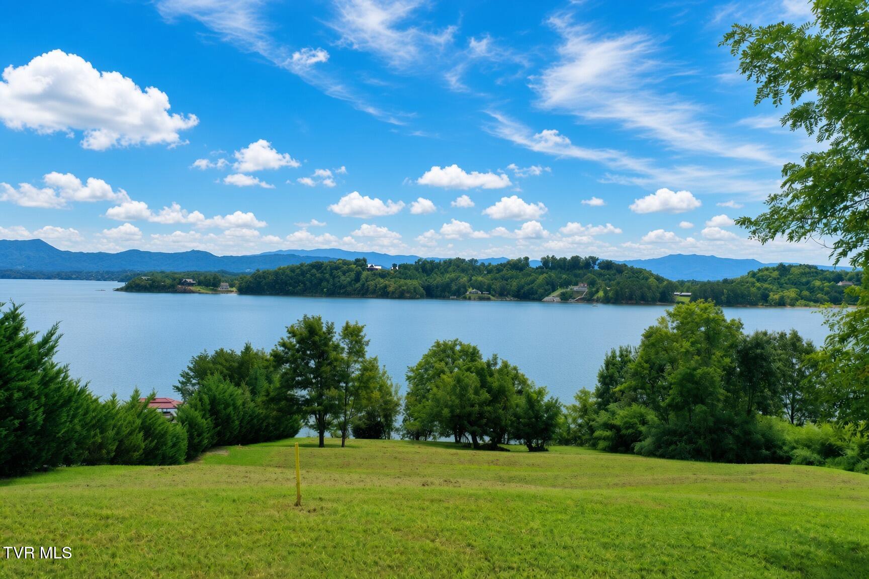 Lot 20 Trotline Road, Unit 2 Dandridge, TN 37725 - Photo 20 of 25 4 (1)