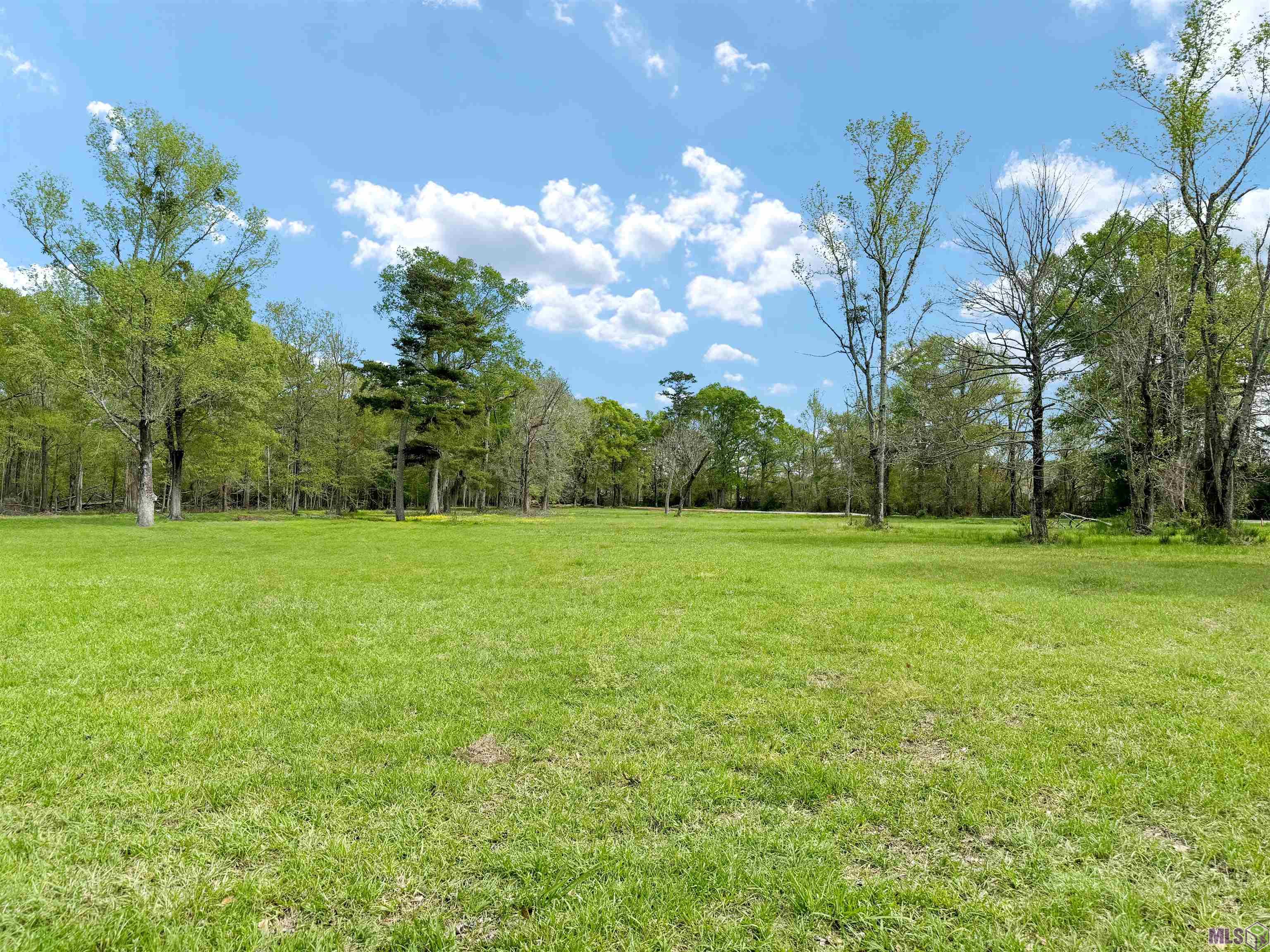 36303 Ruby Moore Road Denham Springs, LA 70706 - Photo 2 of 9 Gallery Image 2