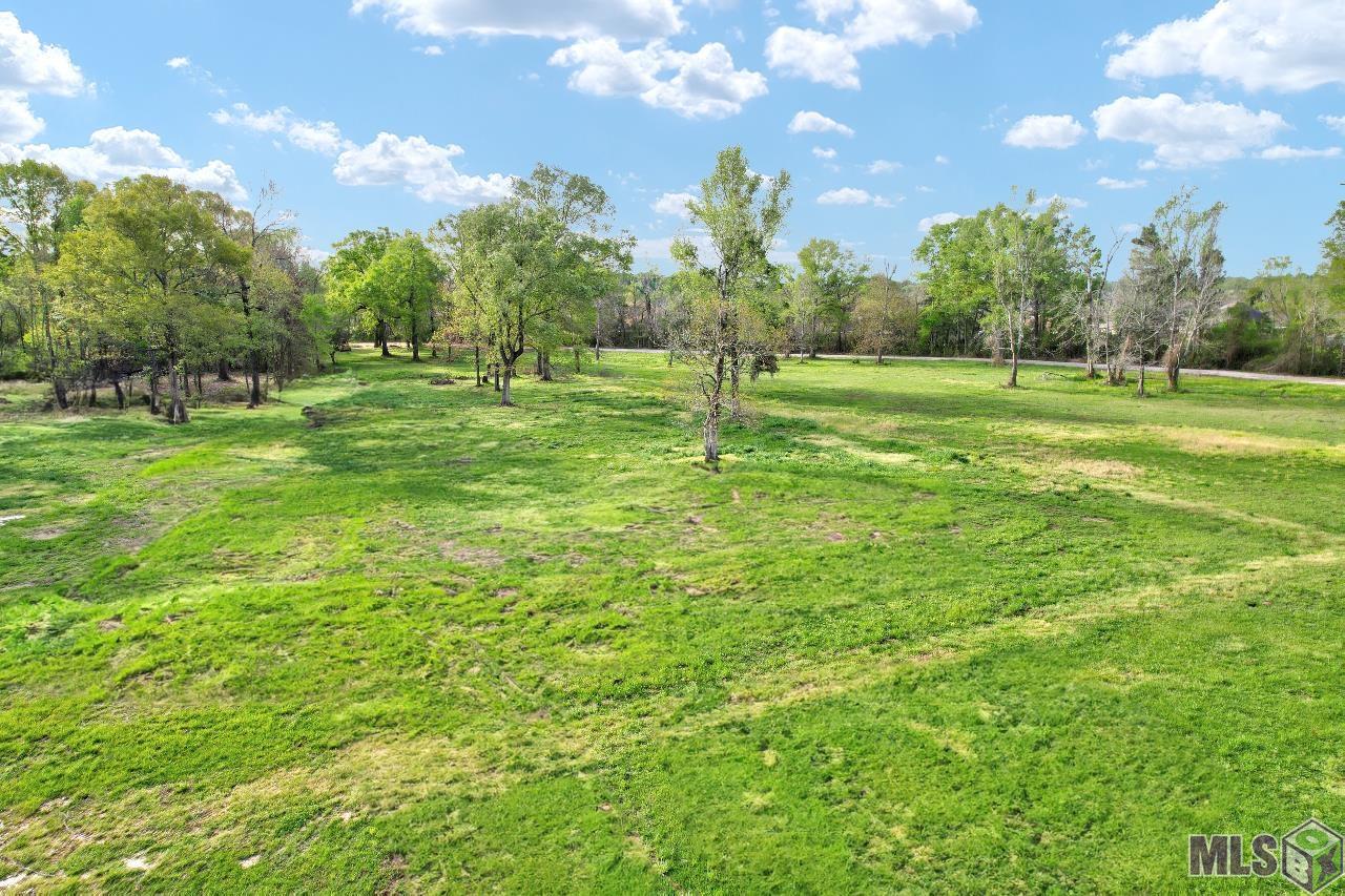36303 Ruby Moore Road Denham Springs, LA 70706 - Photo 7 of 9 Gallery Image 7