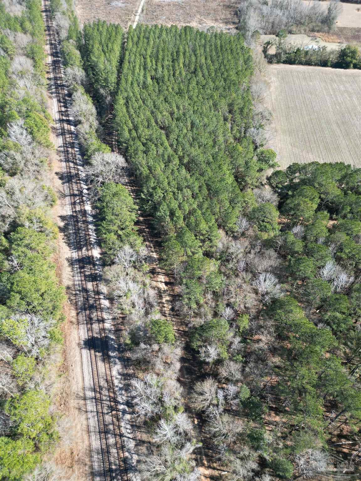 1 Clifton Lane Flomaton, AL 36441 - Photo 5 of 7