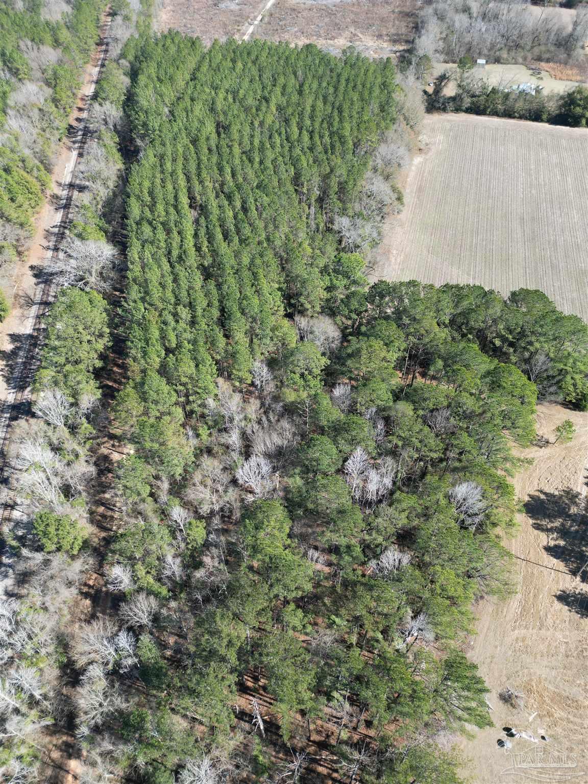 1 Clifton Lane Flomaton, AL 36441 - Photo 6 of 7 a view of a forest with a building