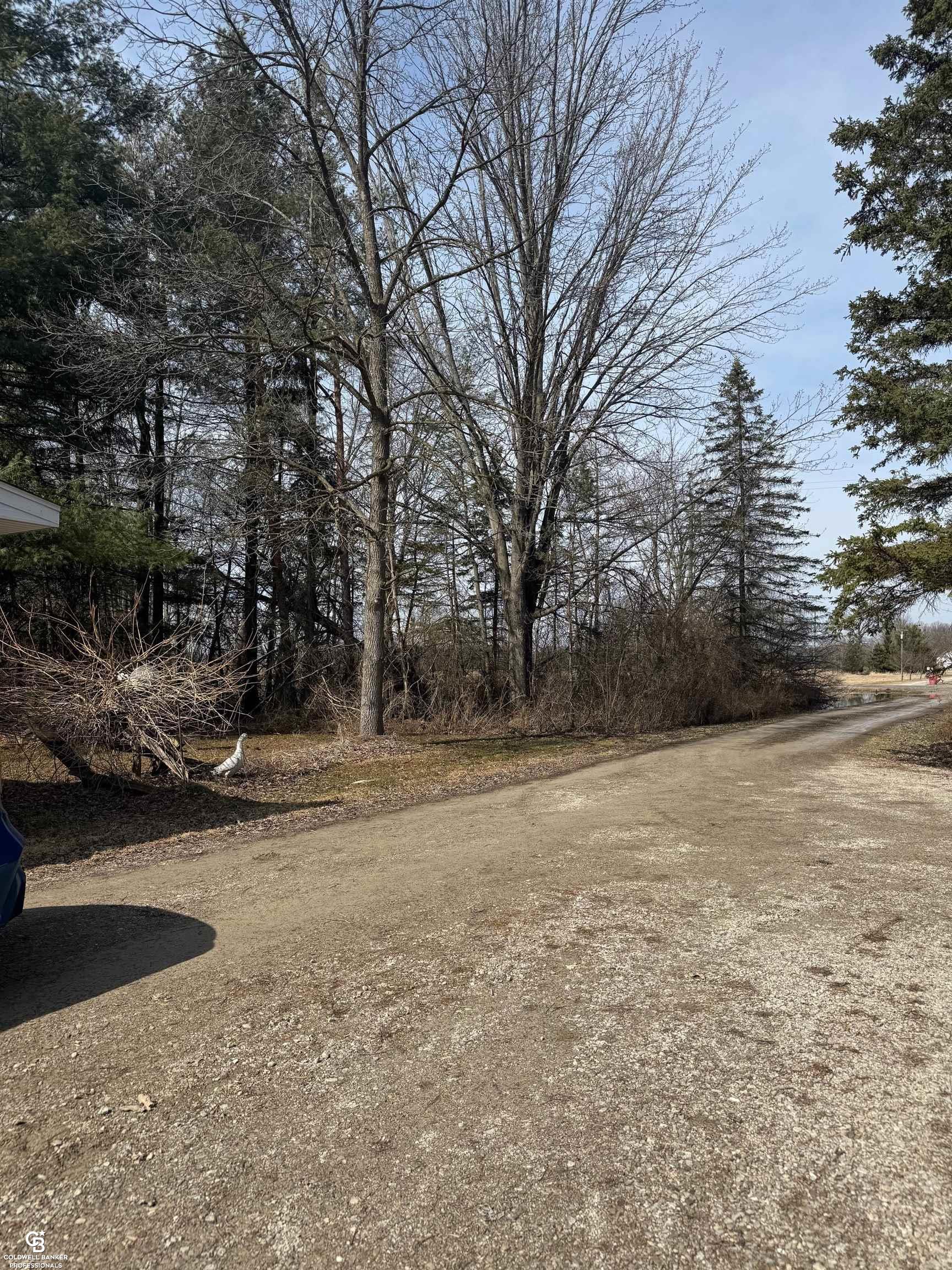 11105 Bryce Road Emmett, MI 48022 - Photo 20 of 44 50169414-b4f3738e-2999-499b-a20d-ccce5d4a2e49.JPG