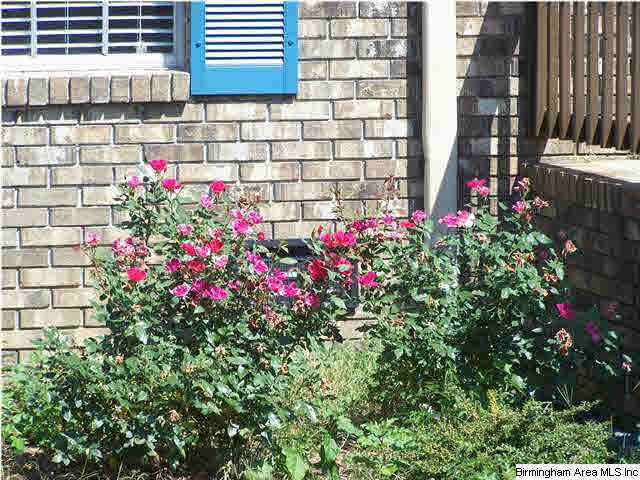 27 Monte Tierra Trail Montevallo, AL 35115 - Photo 23 of 23