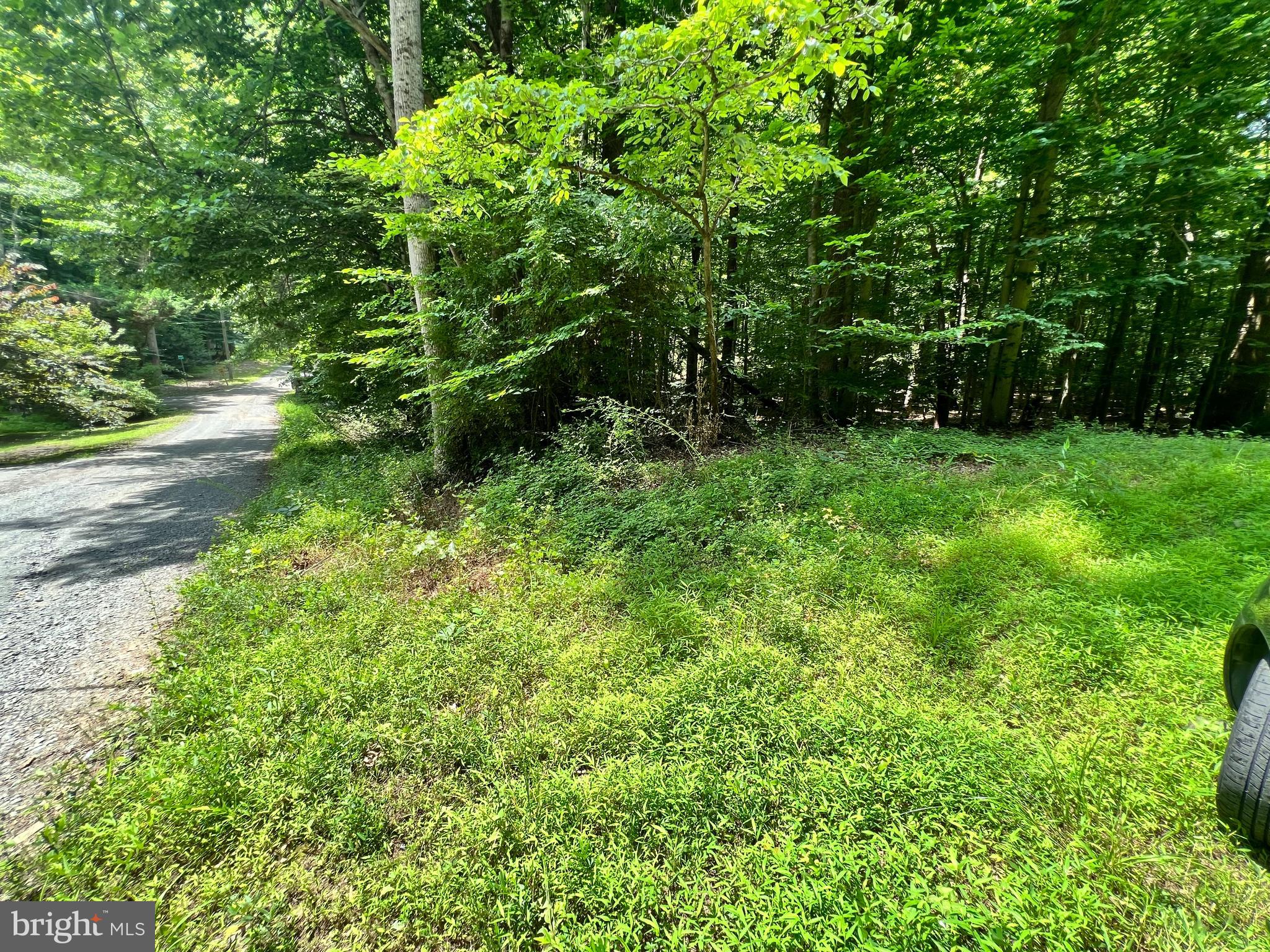 11938 Hunt Road Manassas, VA 20112 - Photo 3 of 6 11938 Hunt - directly off of improved road`