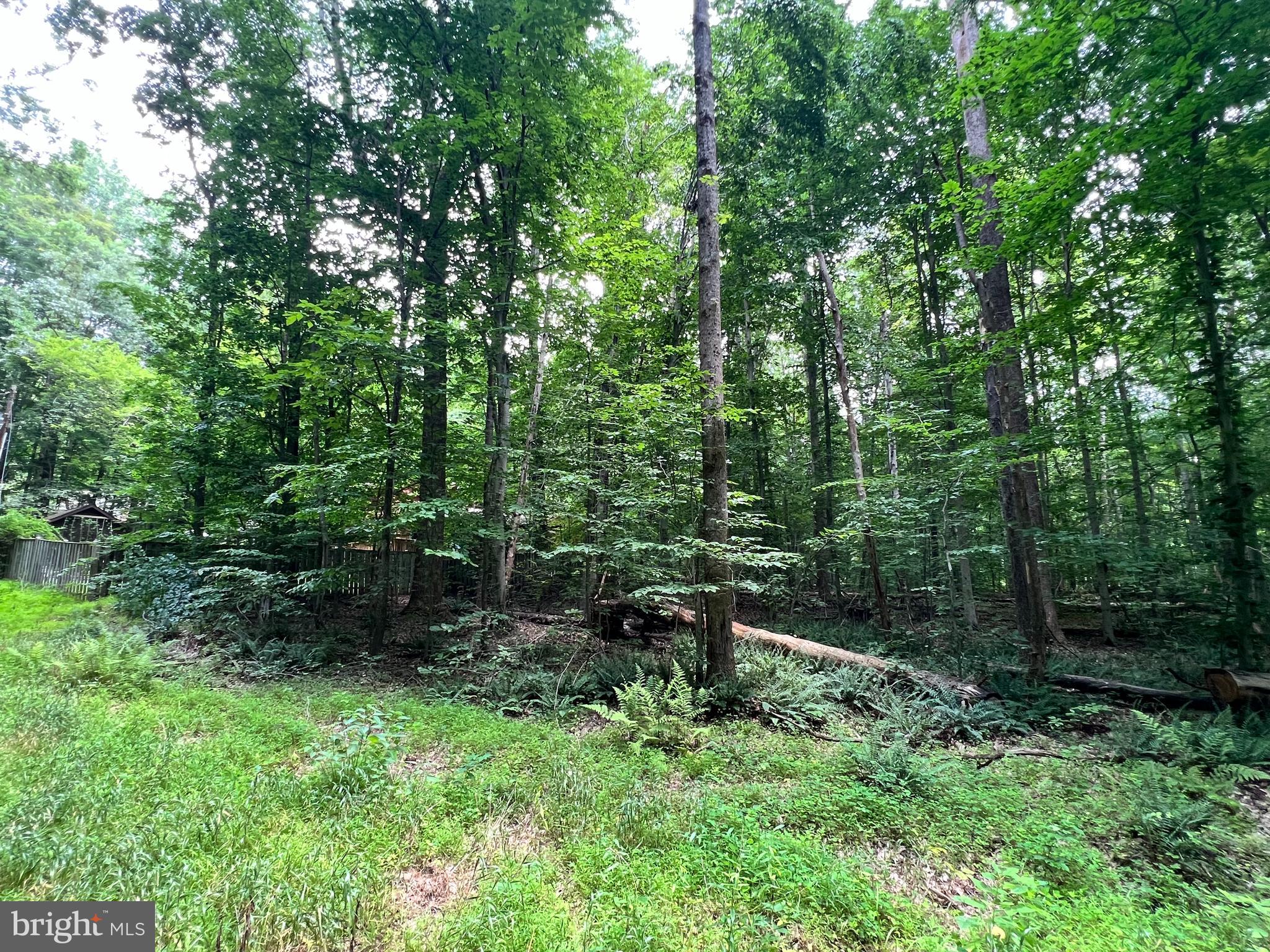 11938 Hunt Road Manassas, VA 20112 - Photo 4 of 6 11915 and 11913