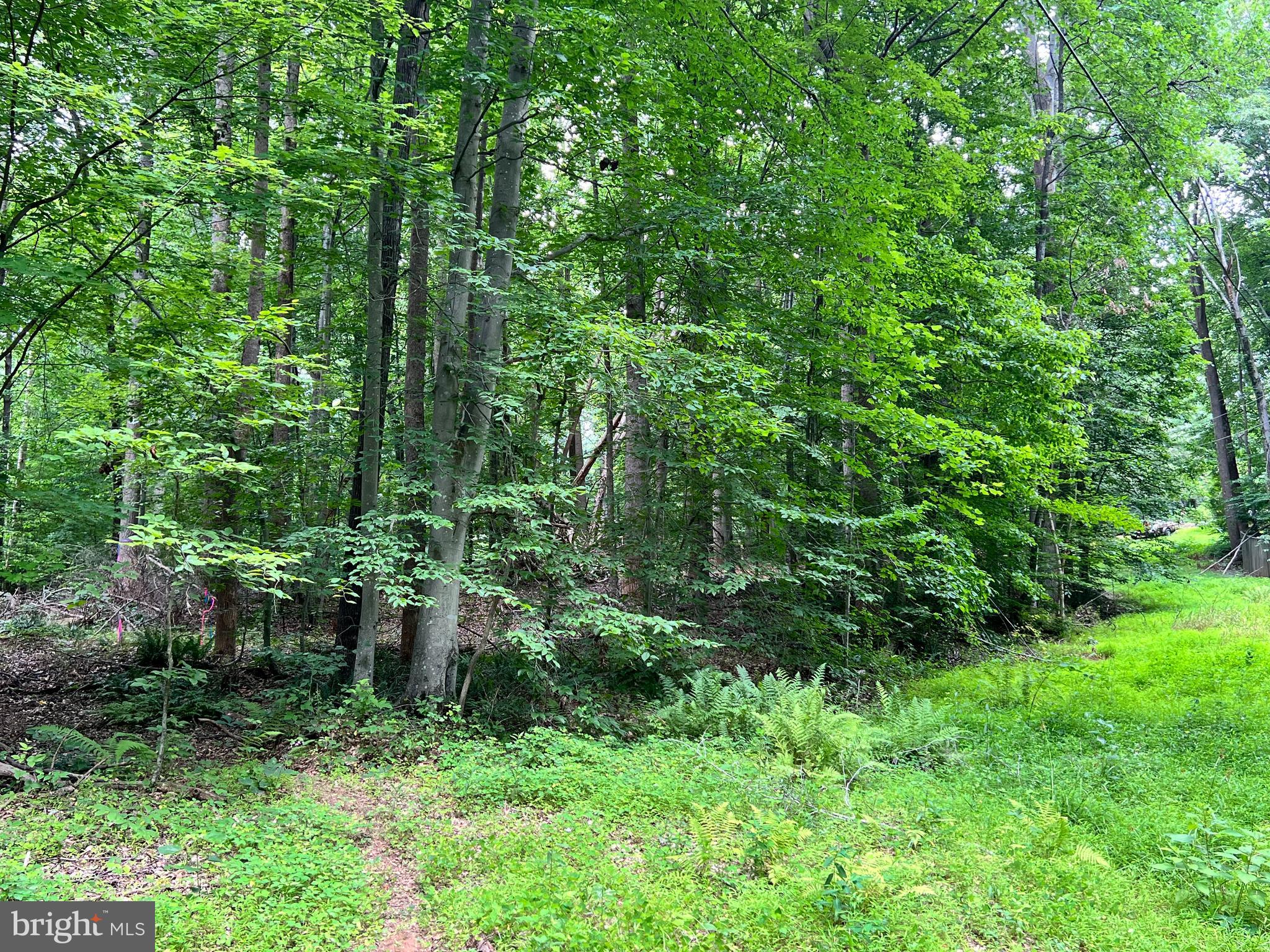 11938 Hunt Road Manassas, VA 20112 - Photo 5 of 6 11916 and 11918