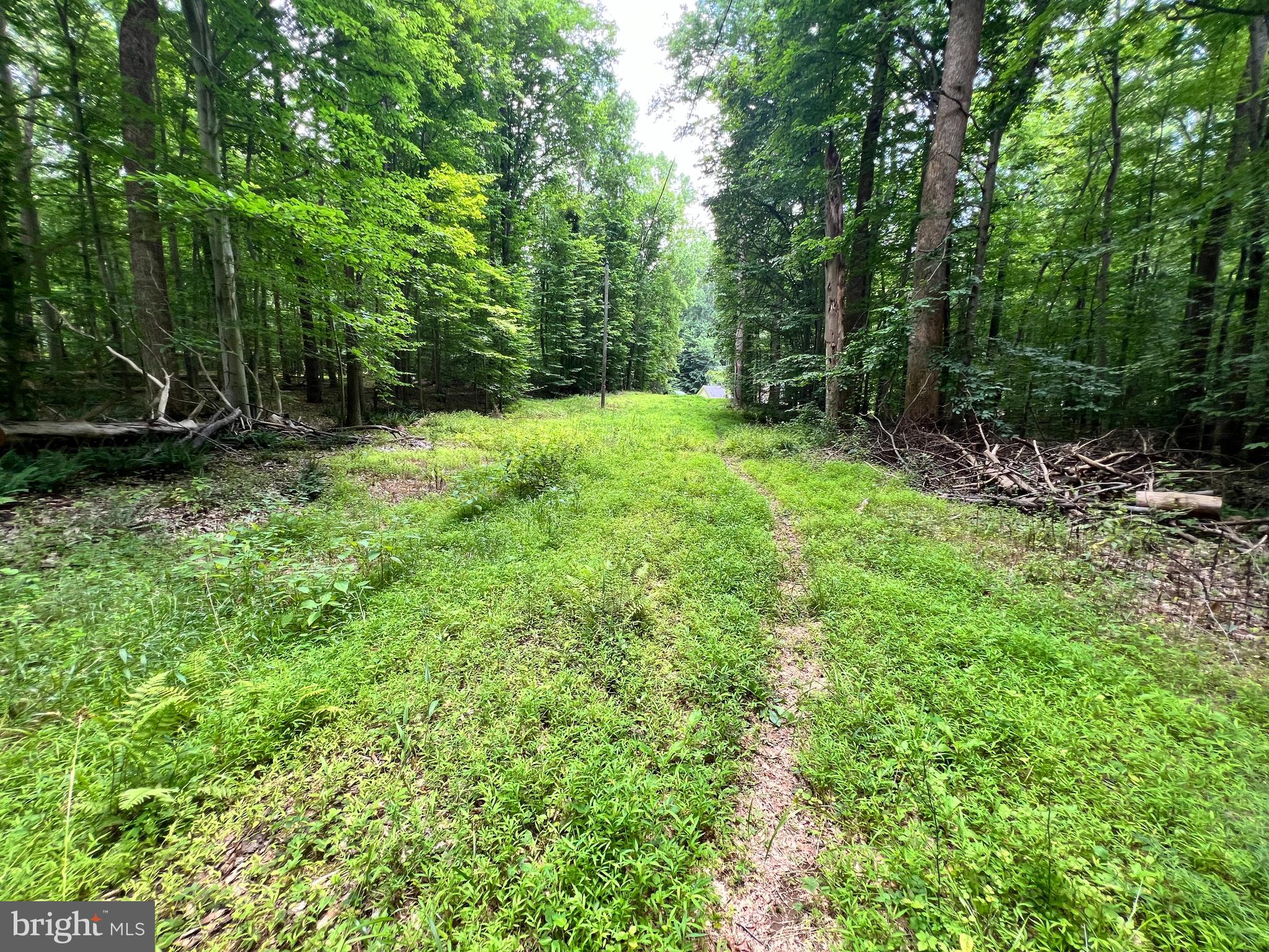 11938 Hunt Road Manassas, VA 20112 - Photo 6 of 6 Unimproved Road