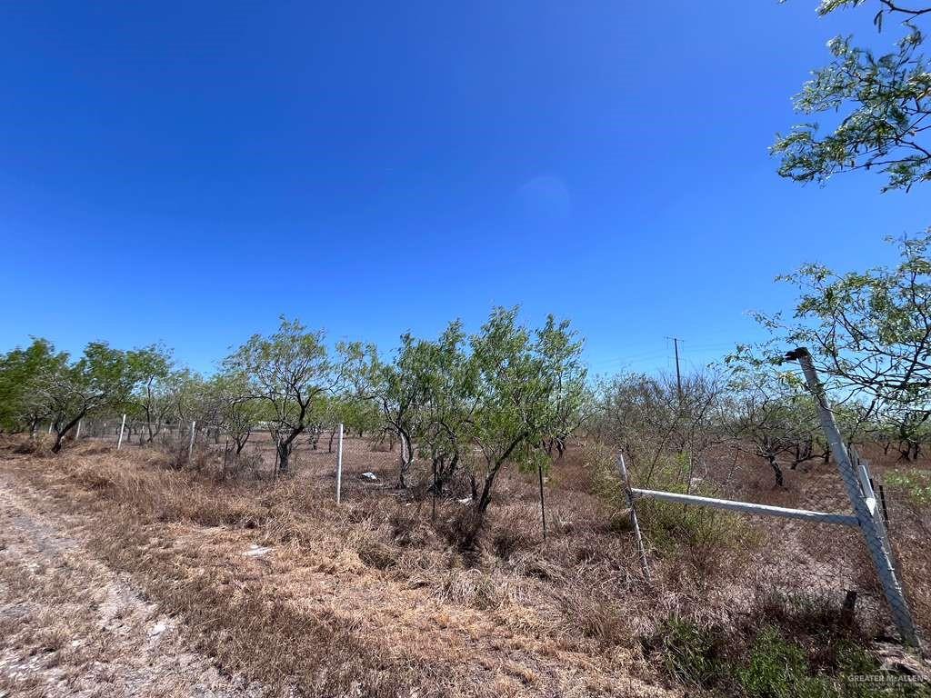 33607 Barlow Road San Benito, TX 78586 - Photo 13 of 15