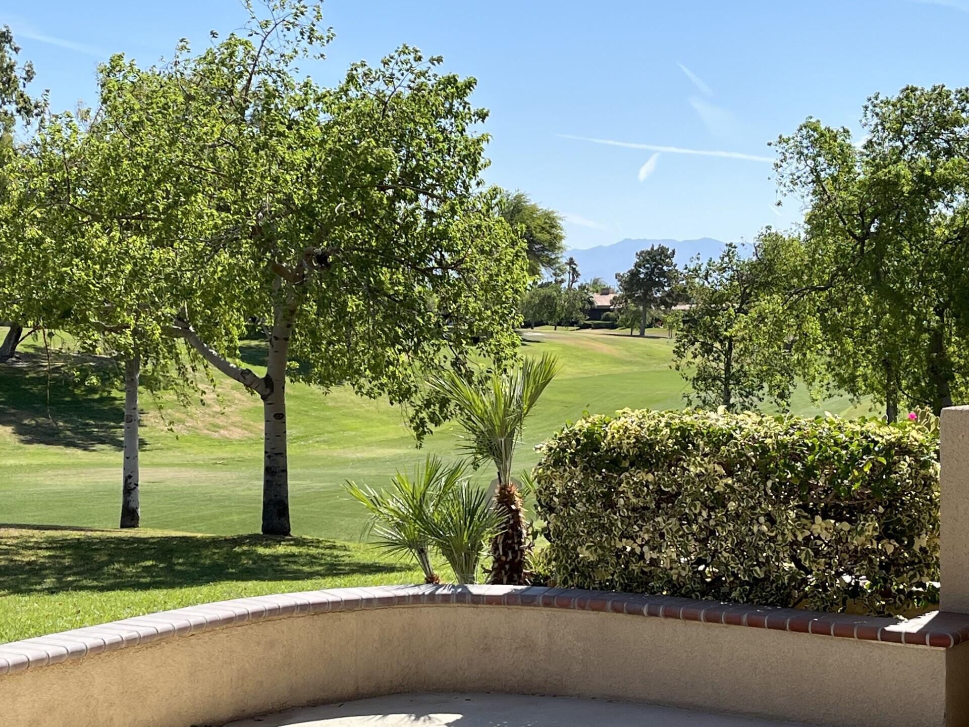 70 Pine Valley Drive Rancho Mirage, CA 92270 - Photo 26 of 31 a view of a yard with a tree