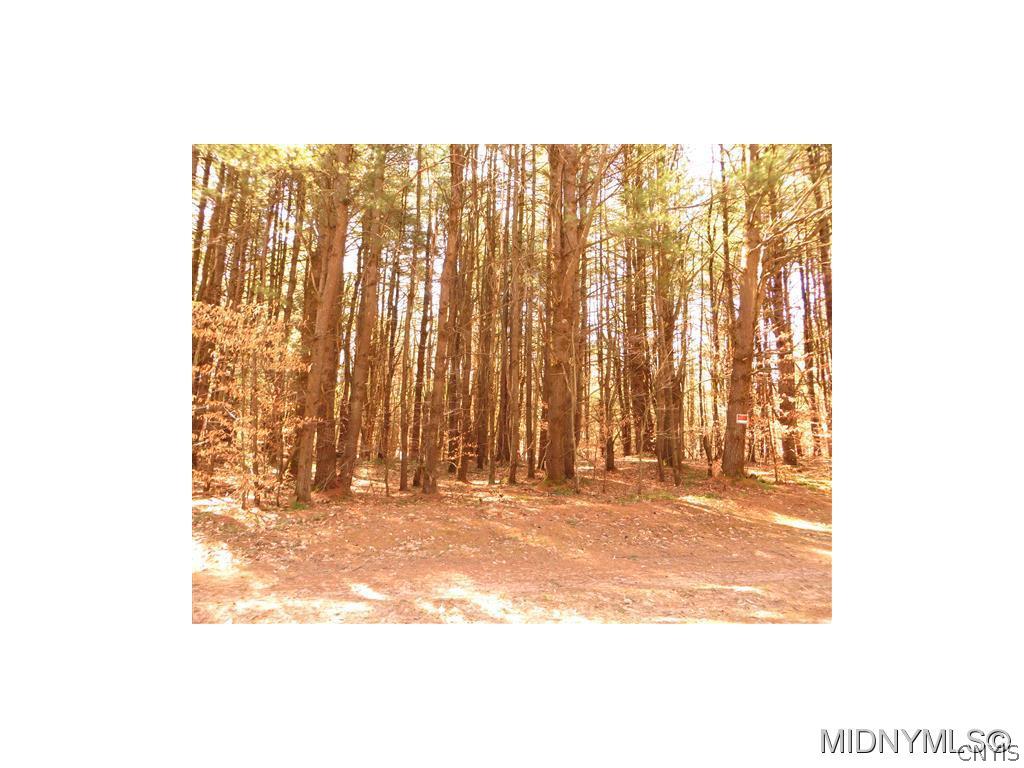 1 Elpis Road Camden, NY 13316 - Photo 1 of 1 Gallery Image 1