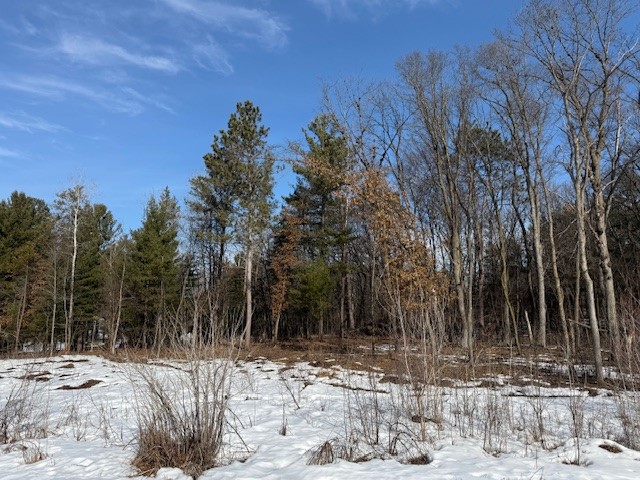0 Bashaw Trail Shell Lake, WI 54871 - Photo 8 of 9
