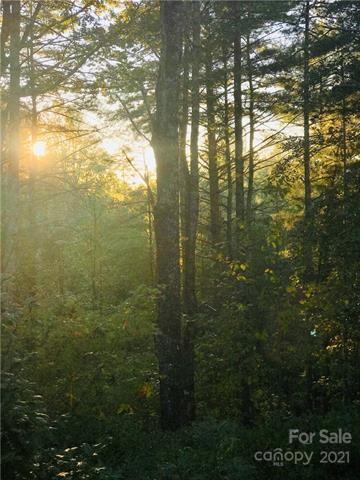 1211 Winding Creek Way, Unit 309 Lenoir, NC 28645 - Photo 2 of 21