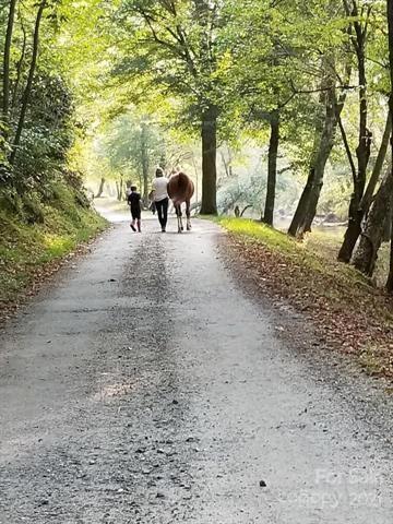 1211 Winding Creek Way, Unit 309 Lenoir, NC 28645 - Photo 13 of 21