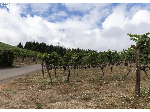 $678,000 | 27004 Briggs Hill Road, Eugene, OR 97405