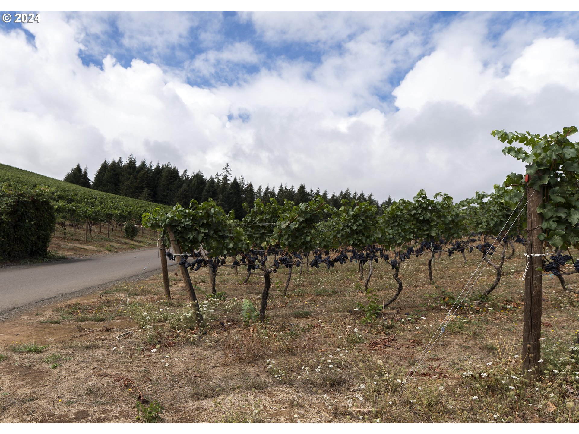 27004 Briggs Hill Road Eugene, OR 97405 - Photo 41 of 42