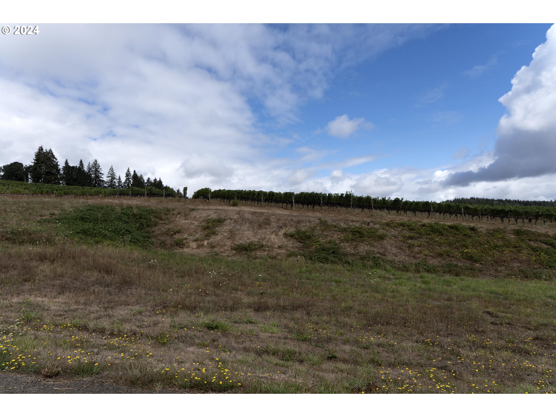 27004 Briggs Hill Road Eugene, OR 97405 - Photo 42 of 42