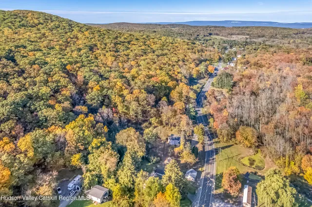 a view of a large tree