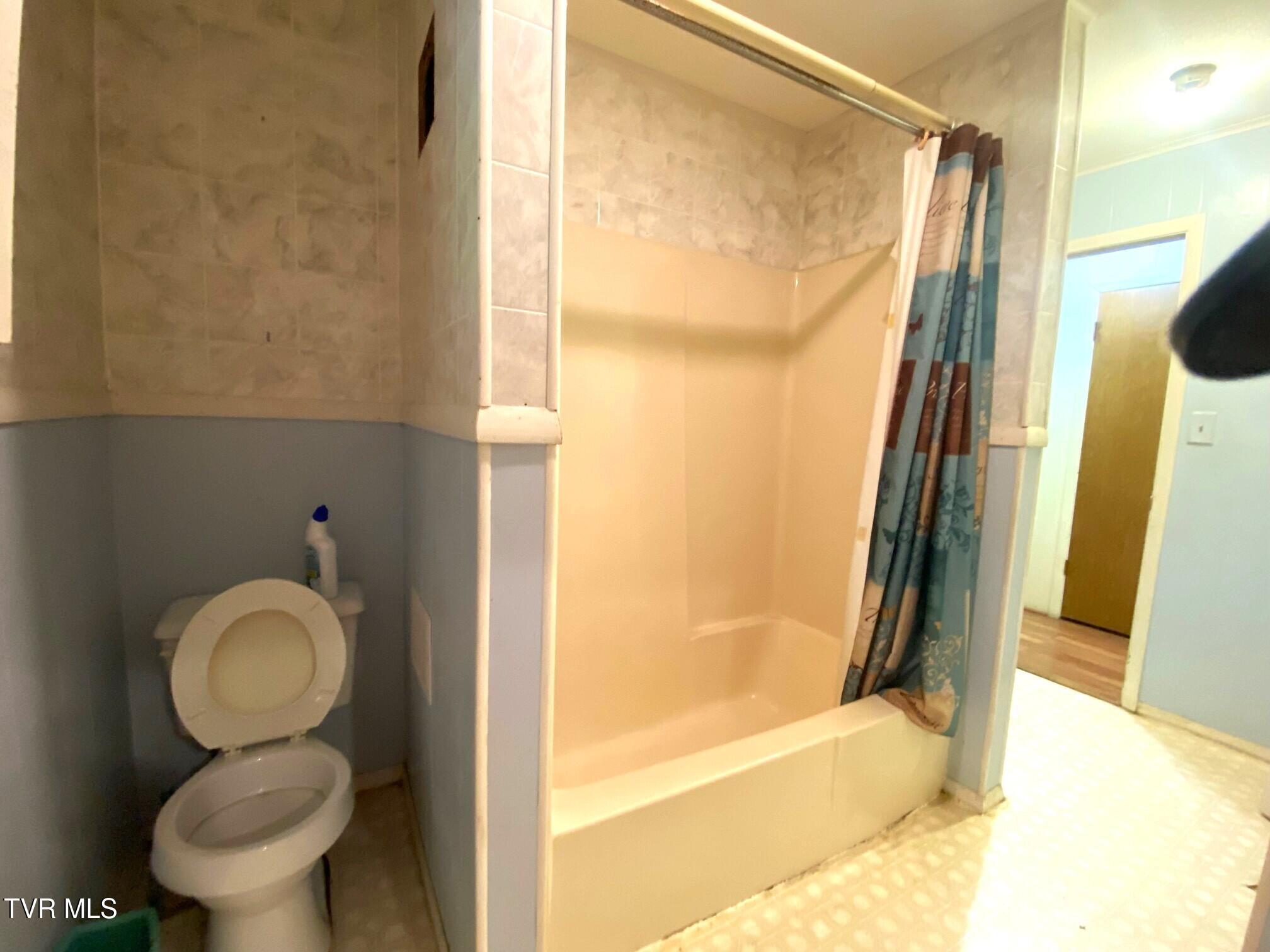110 Mt Hebron Road Greeneville, TN 37743 - Photo 9 of 20 Gross bath 2