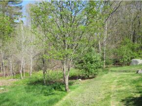 27 Logging Hill Road Bow, NH 03304 - Photo 1 of 11 Gallery Image 1