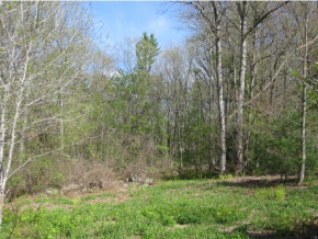27 Logging Hill Road Bow, NH 03304 - Photo 2 of 11 Gallery Image 2
