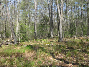27 Logging Hill Road Bow, NH 03304 - Photo 11 of 11 Gallery Image 11