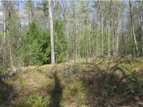 27 Logging Hill Road Bow, NH 03304 - Photo 4 of 11 Gallery Image 4