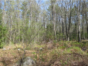 27 Logging Hill Road Bow, NH 03304 - Photo 5 of 11 Gallery Image 5