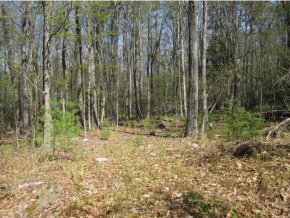 27 Logging Hill Road Bow, NH 03304 - Photo 6 of 11 Gallery Image 6