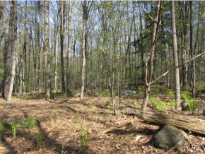 27 Logging Hill Road Bow, NH 03304 - Photo 7 of 11 Gallery Image 7