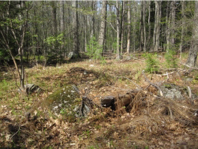 27 Logging Hill Road Bow, NH 03304 - Photo 8 of 11 Gallery Image 8
