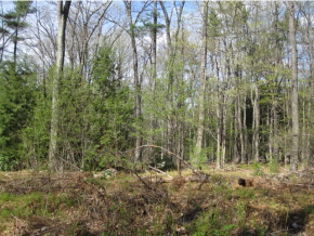 27 Logging Hill Road Bow, NH 03304 - Photo 10 of 11 Gallery Image 10