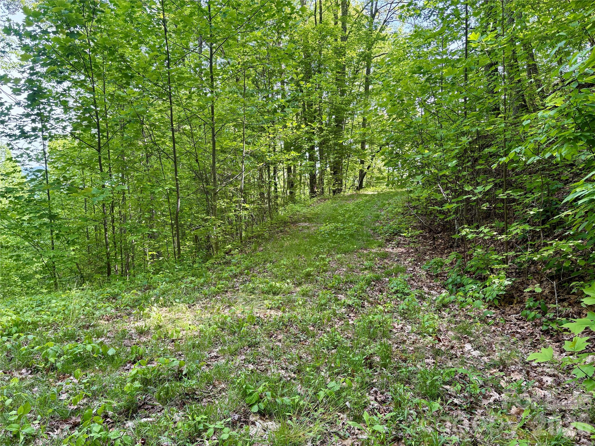 0 Carpenter Road Bryson City, NC 28713 - Photo 18 of 27