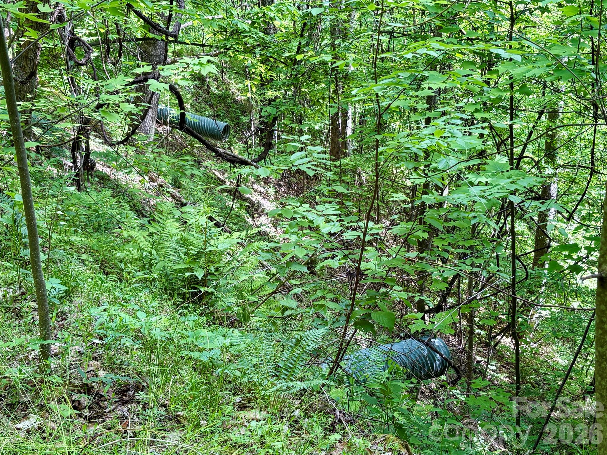 0 Carpenter Road Bryson City, NC 28713 - Photo 24 of 27 a view of a lush green forest