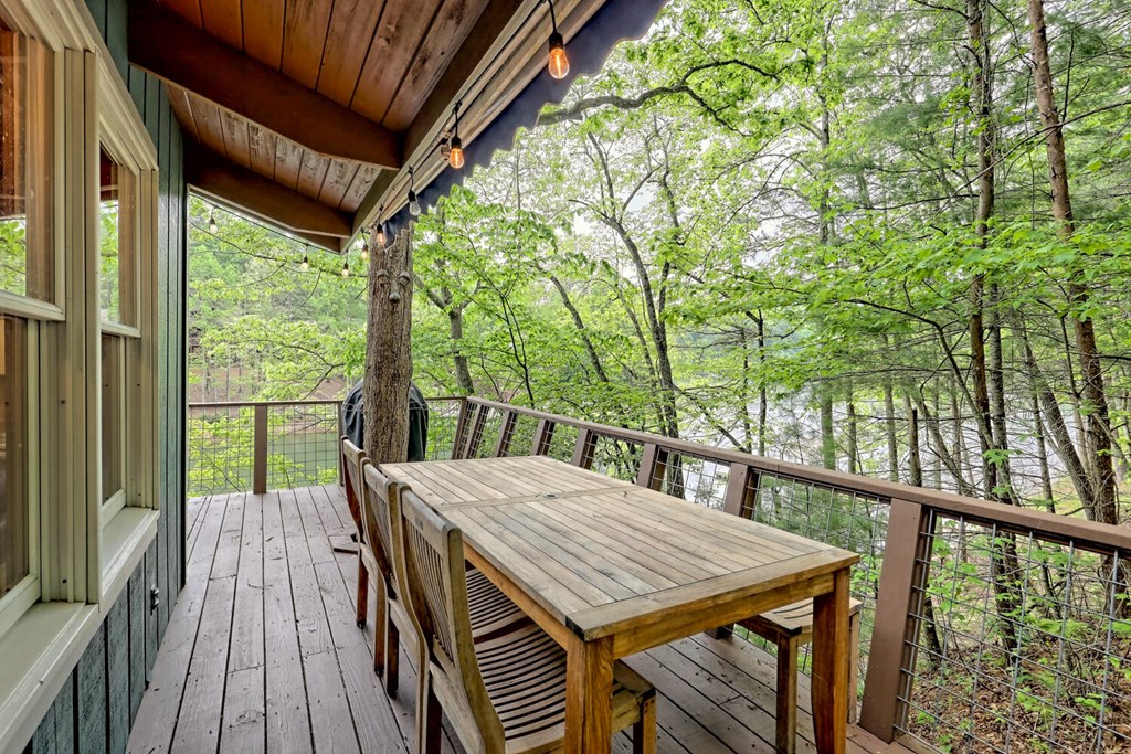 1186 Gibbs Road Blairsville, GA 30512 - Photo 4 of 55 Gallery Image 4
