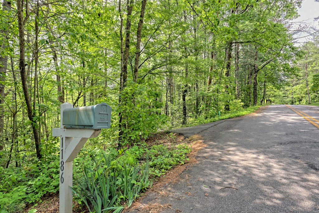 1186 Gibbs Road Blairsville, GA 30512 - Photo 48 of 55 Gallery Image 48