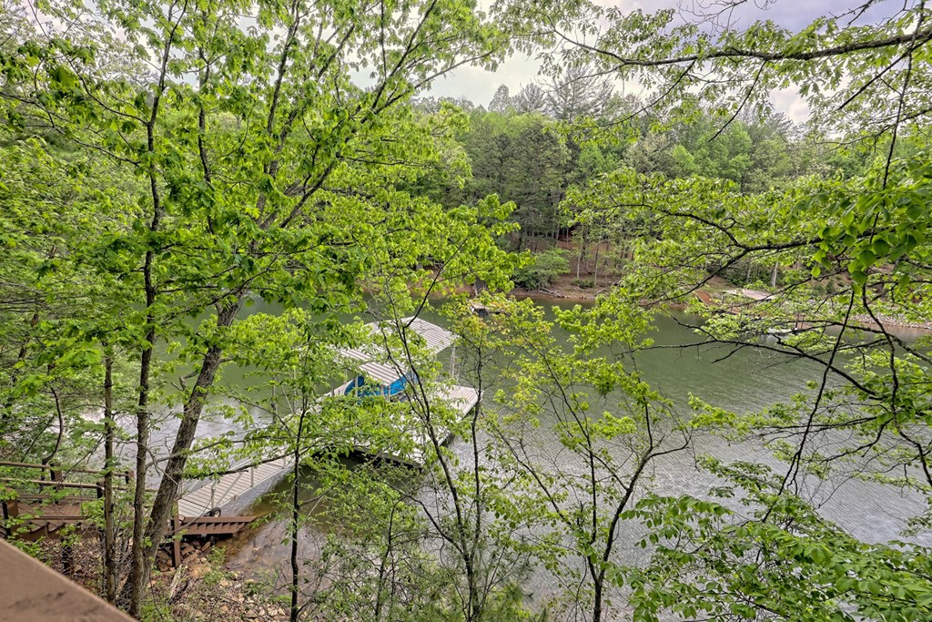 1186 Gibbs Road Blairsville, GA 30512 - Photo 5 of 55 Gallery Image 5