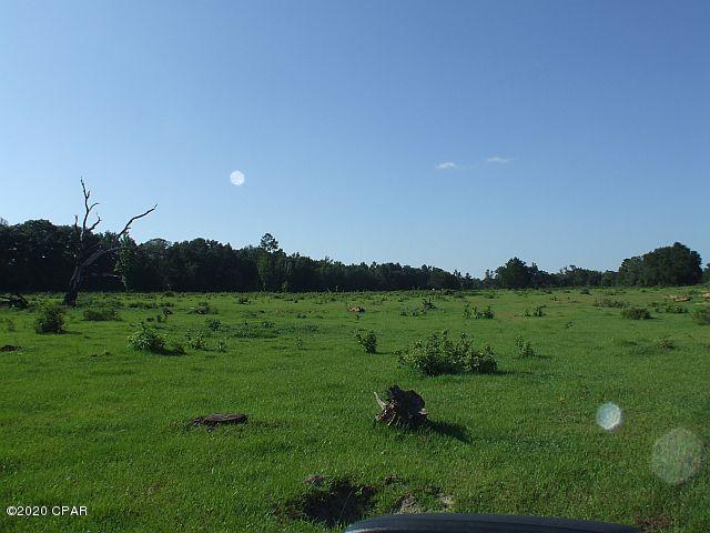 2835 Beall Packing Road Bonifay, FL 32425 - Photo 40 of 48 Gallery Image 40