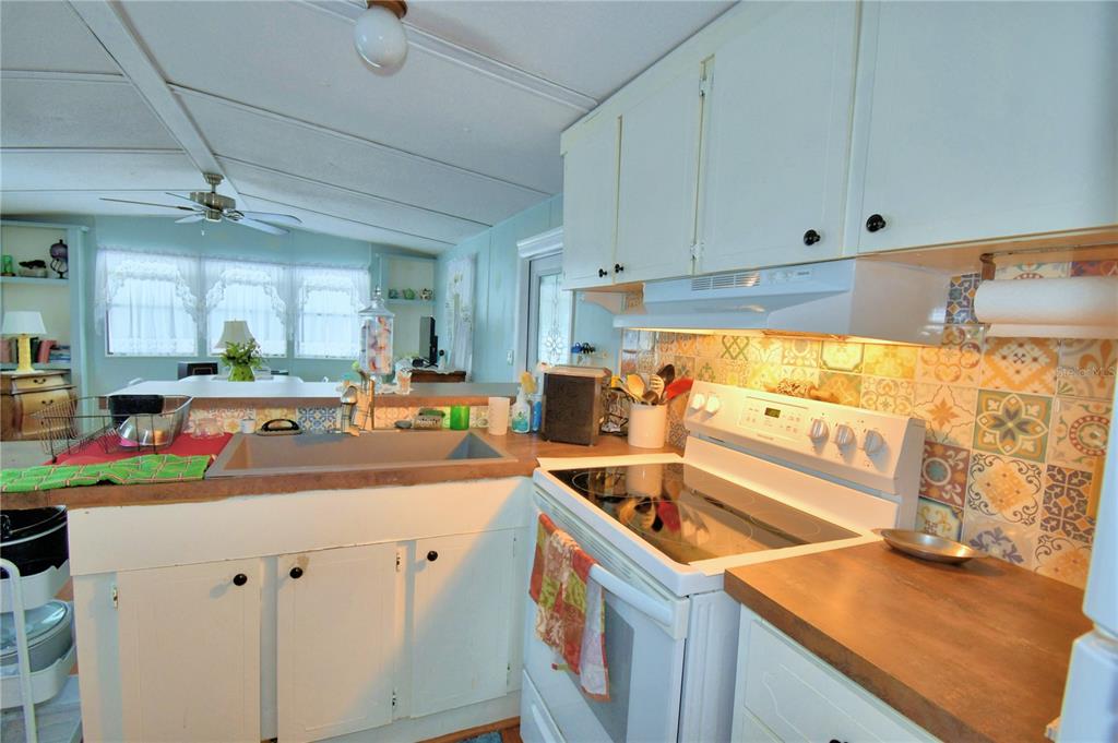 251 Patterson Road, Unit D35 Haines City, FL 33844 - Photo 13 of 37 a kitchen with a sink and cabinets