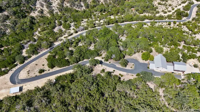 a view of a yard in a forest
