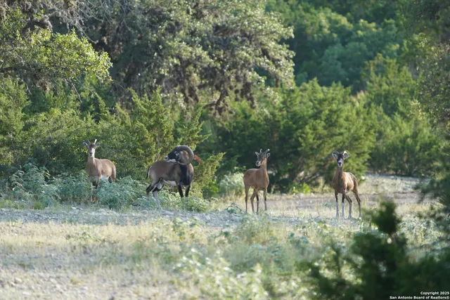 $2,299,999 | 3293 North Little Creek Road, Utopia, TX 78884
