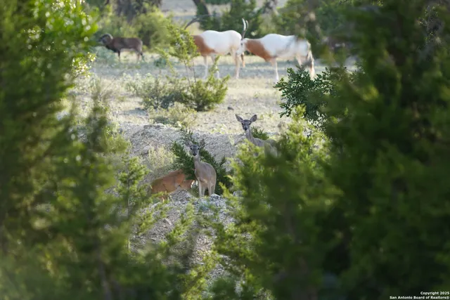 $2,299,999 | 3293 North Little Creek Road, Utopia, TX 78884