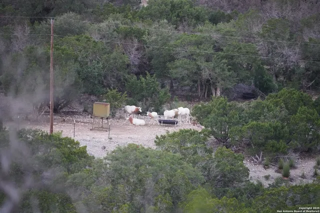 $2,299,999 | 3293 North Little Creek Road, Utopia, TX 78884