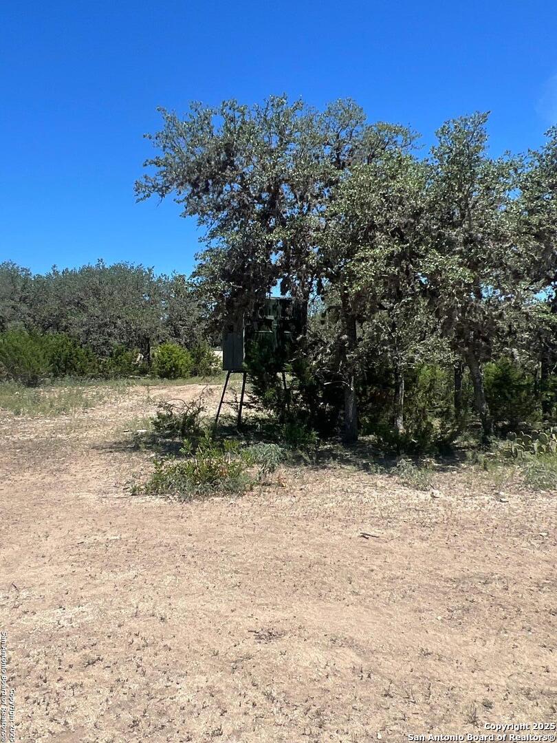 3293 North Little Creek Road Utopia, TX 78884 - Photo 65 of 65 a view of a yard with a tree