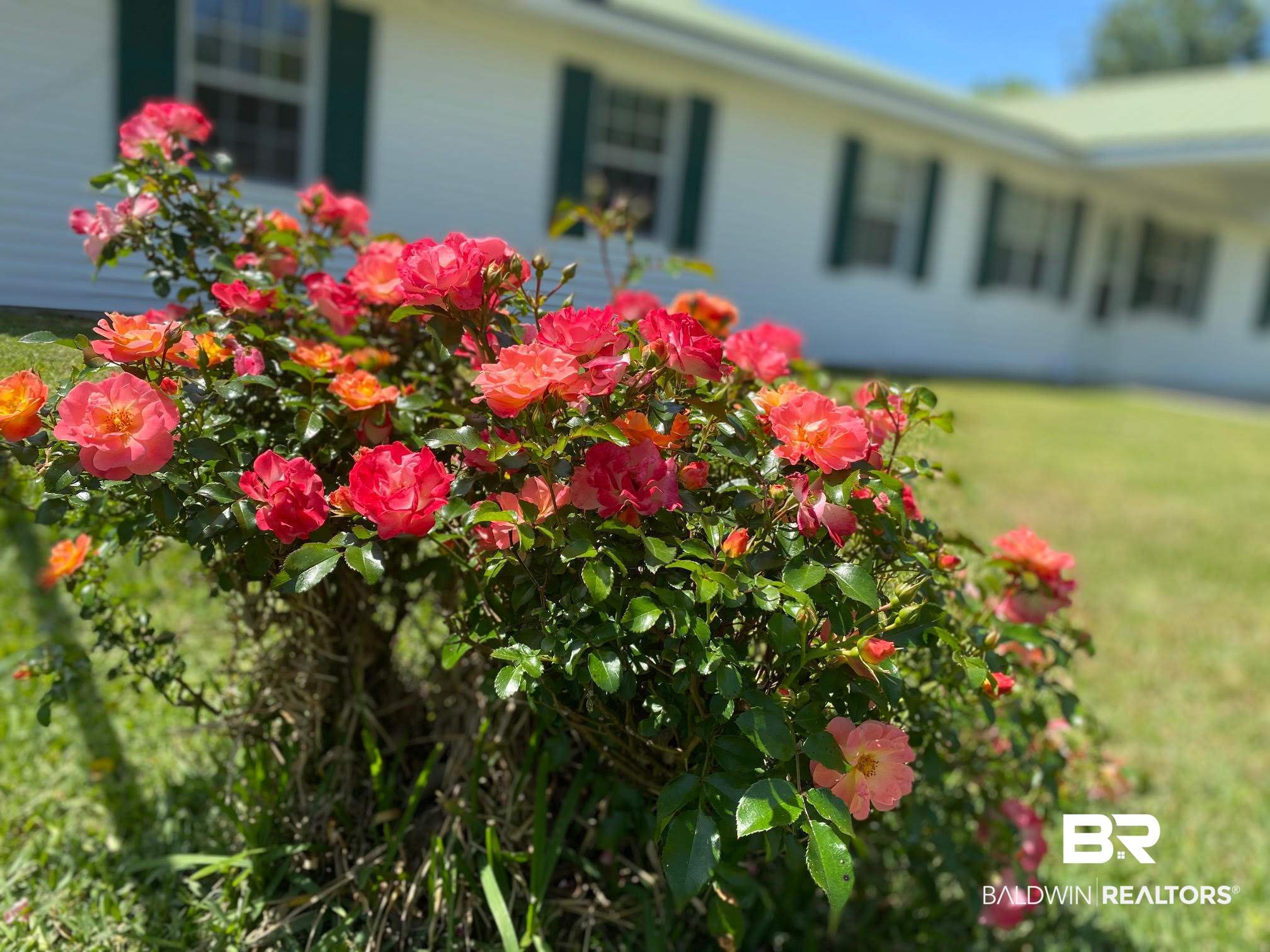 744 Brandenburg Street Brewton, AL 36426 - Photo 14 of 14