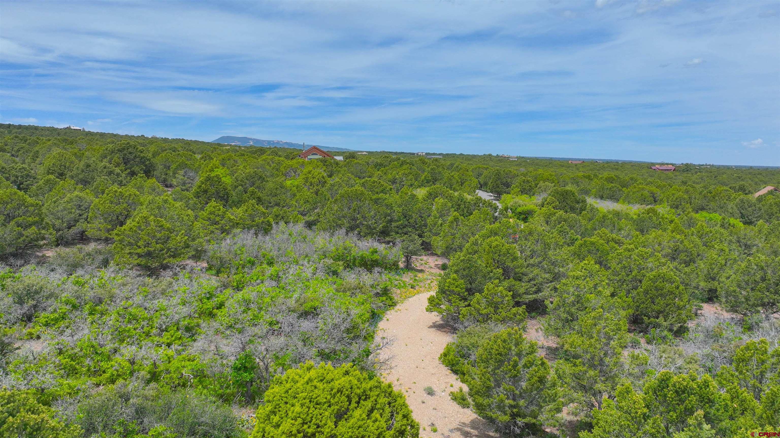 818 Pine Drive Ridgway, CO 81432 - Photo 11 of 25 a view of an outdoor space with a lake view