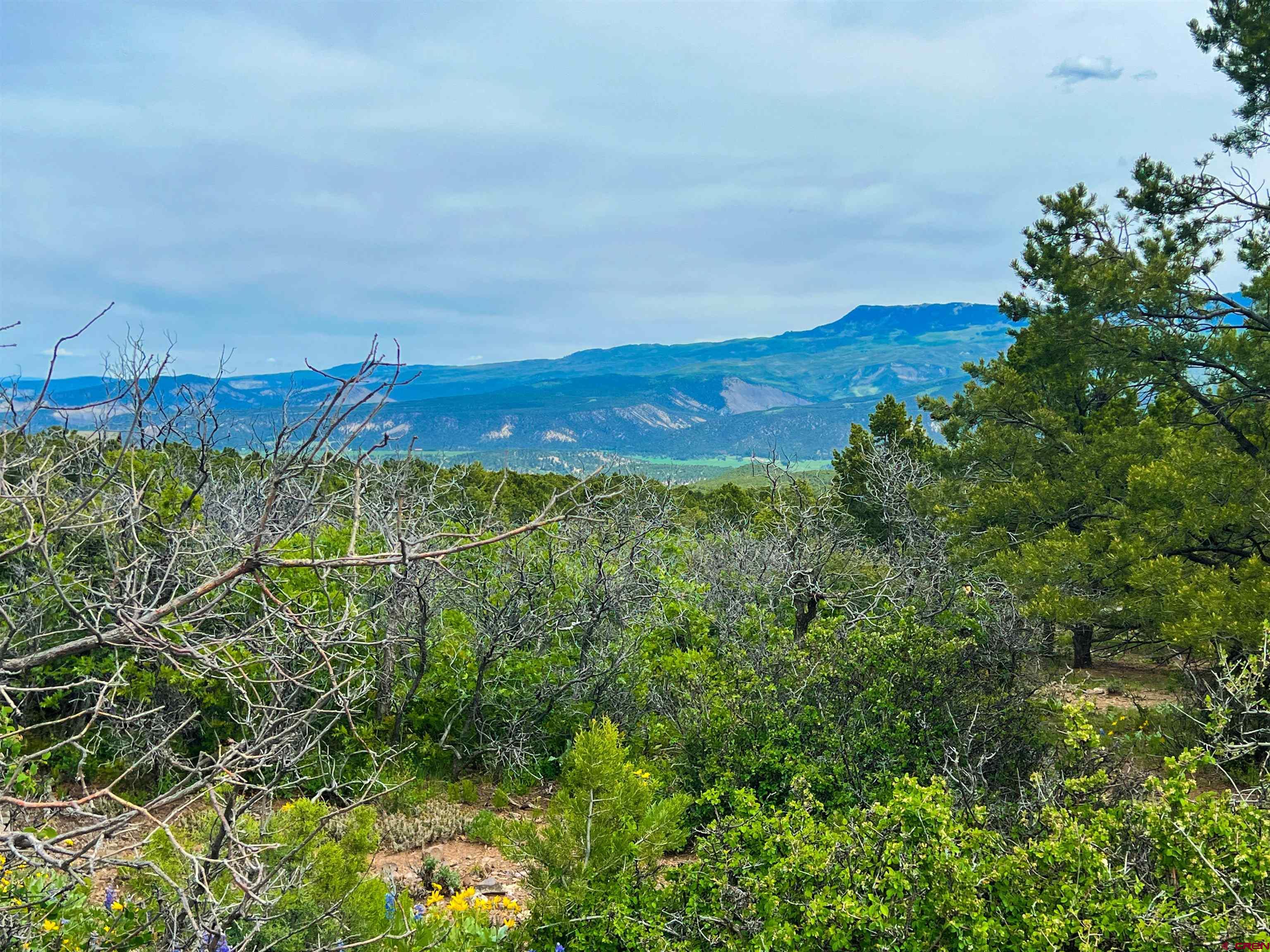 818 Pine Drive Ridgway, CO 81432 - Photo 15 of 25 a view of a city