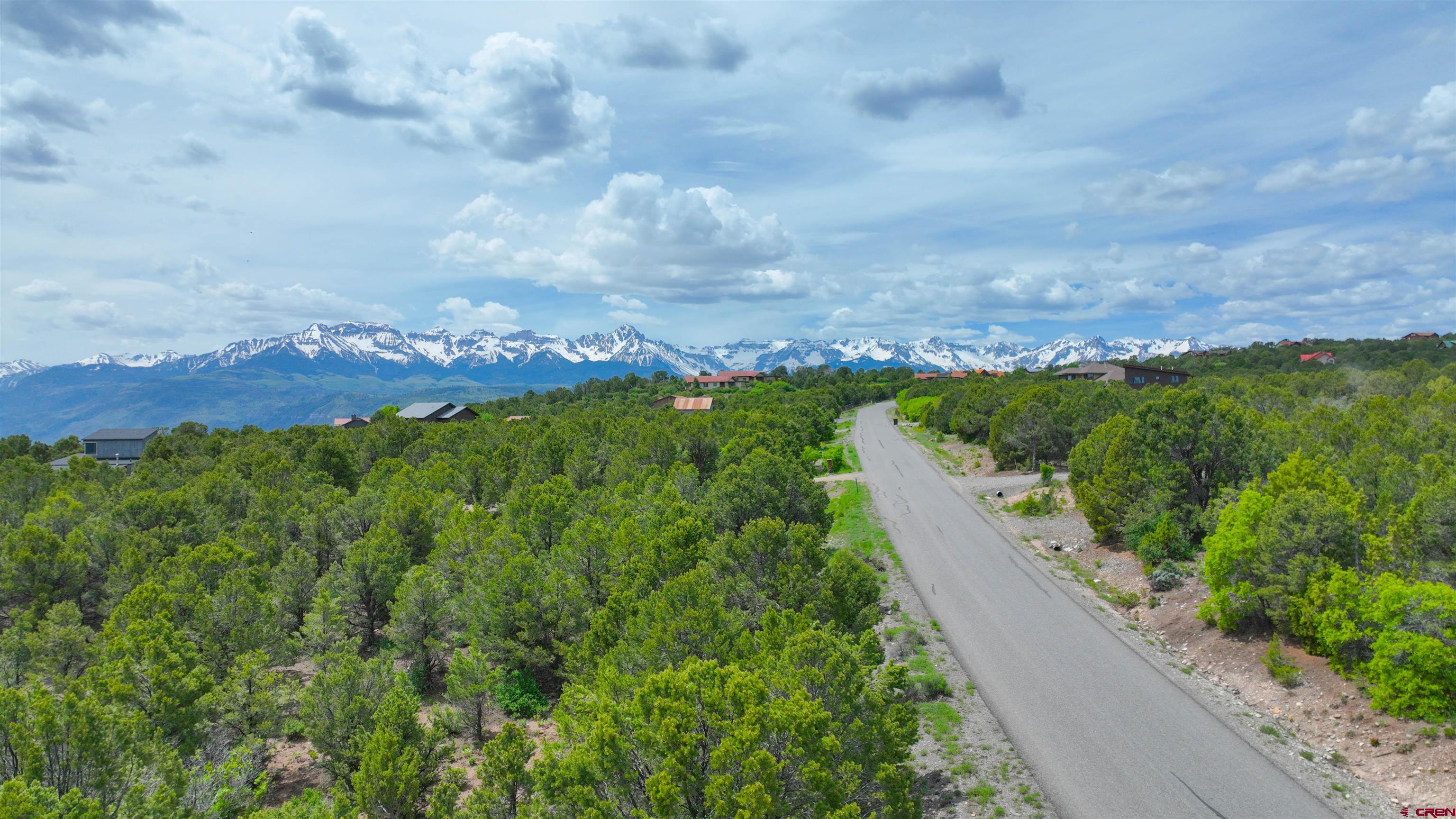 818 Pine Drive Ridgway, CO 81432 - Photo 2 of 25 a view of a city with lush green forest