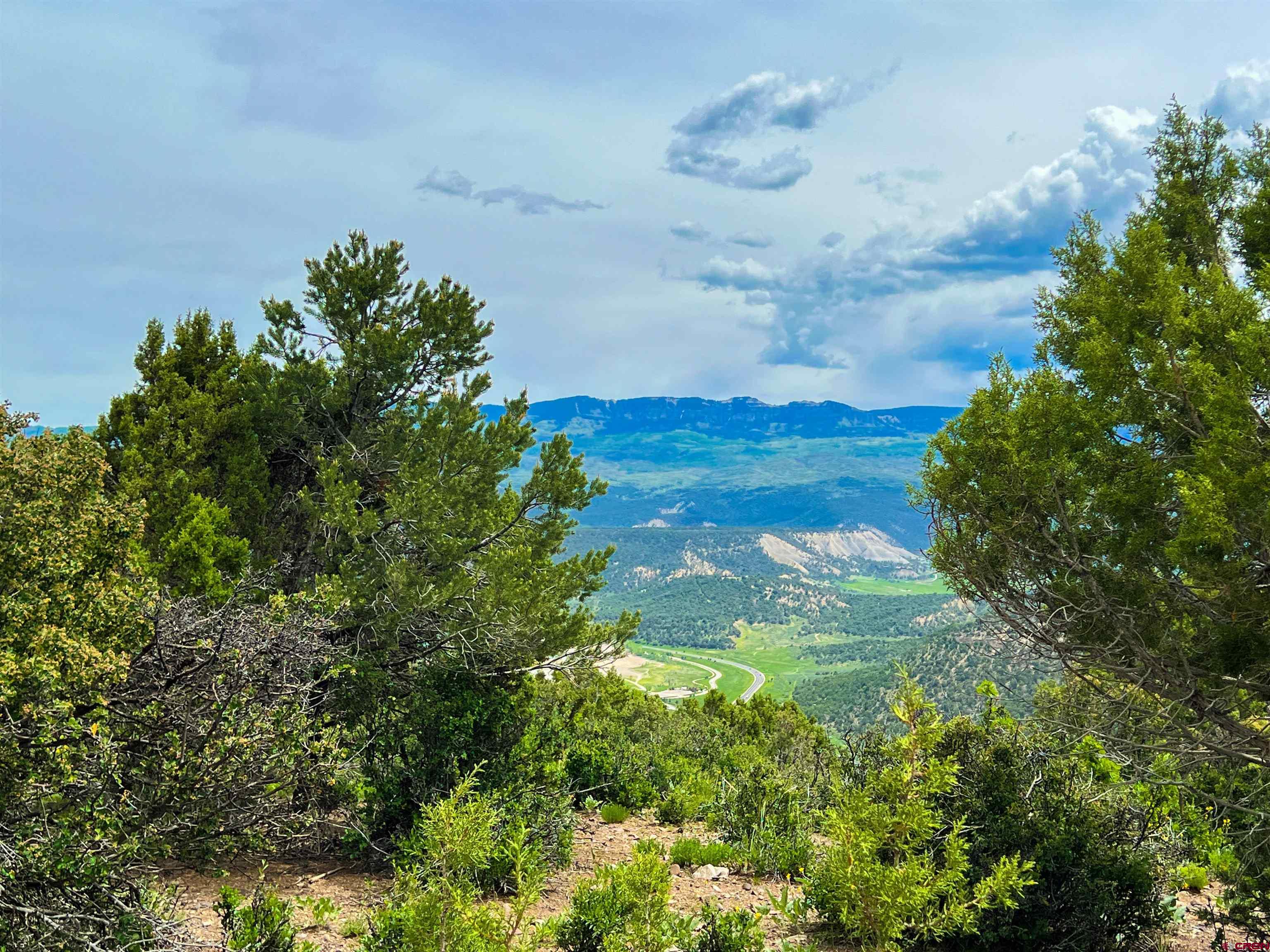 818 Pine Drive Ridgway, CO 81432 - Photo 23 of 25 a backyard of a house with lots of green space and mountain view